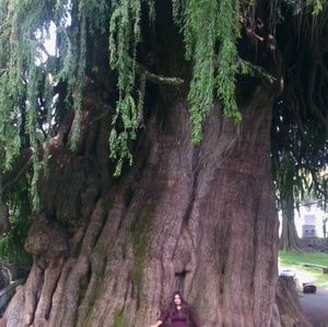 Meet your Posher, Vilma